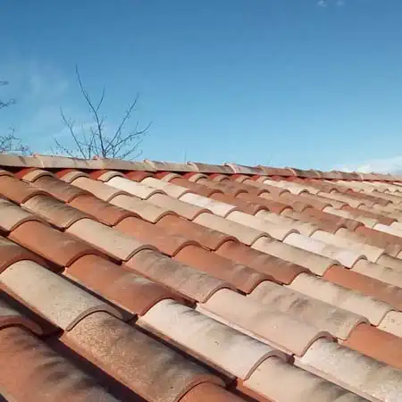 Traitement de toiture 82 Tarn-et-Garonne